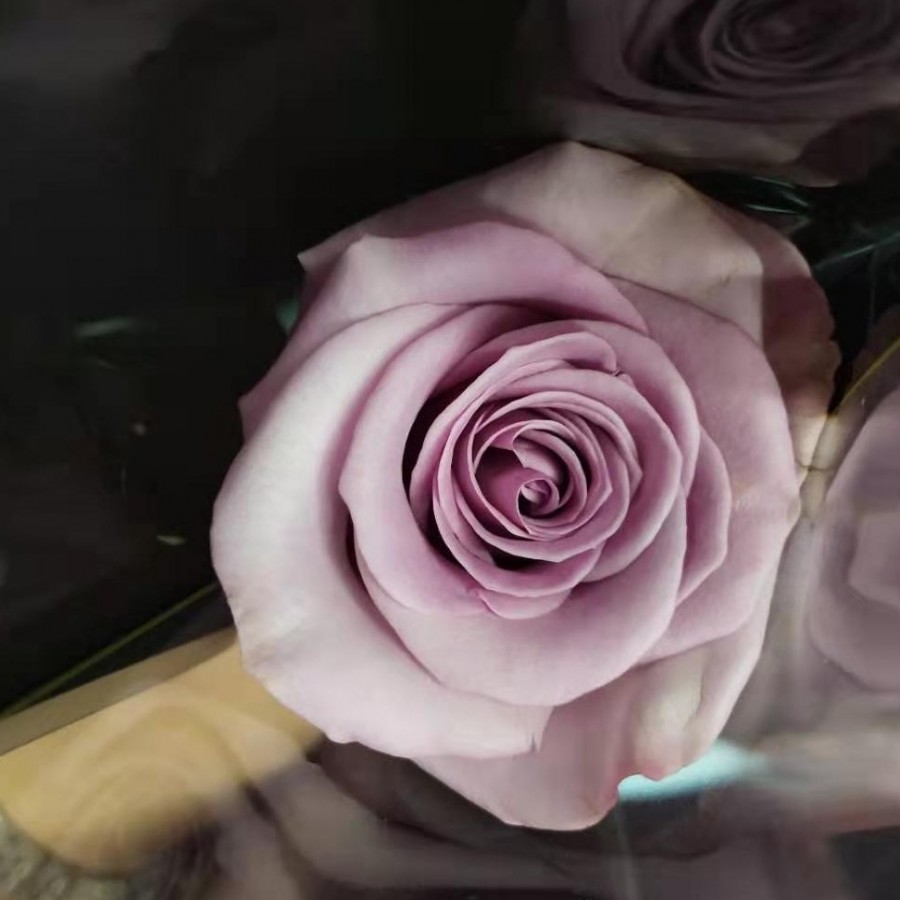 金赣生日会|在奋斗时光里，温暖前行