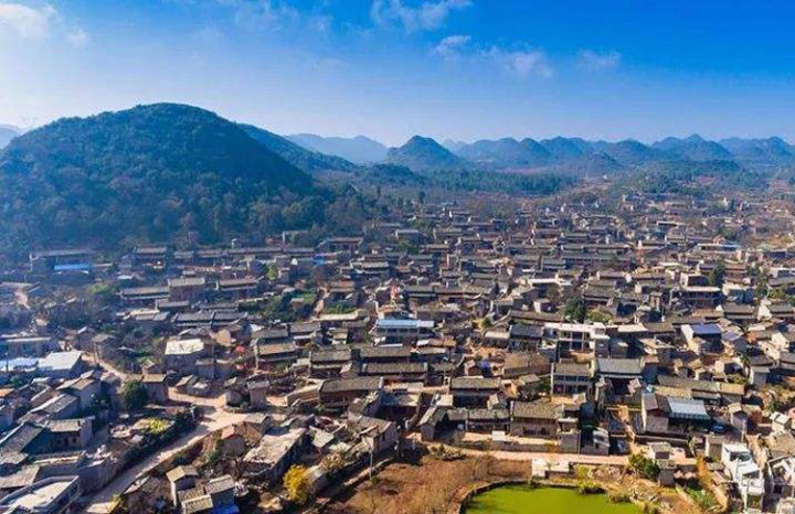 好茶分享南糯山熟普,南糯山的好茶