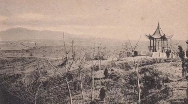 日军占领南京总统府,日军占领南京是什么时候