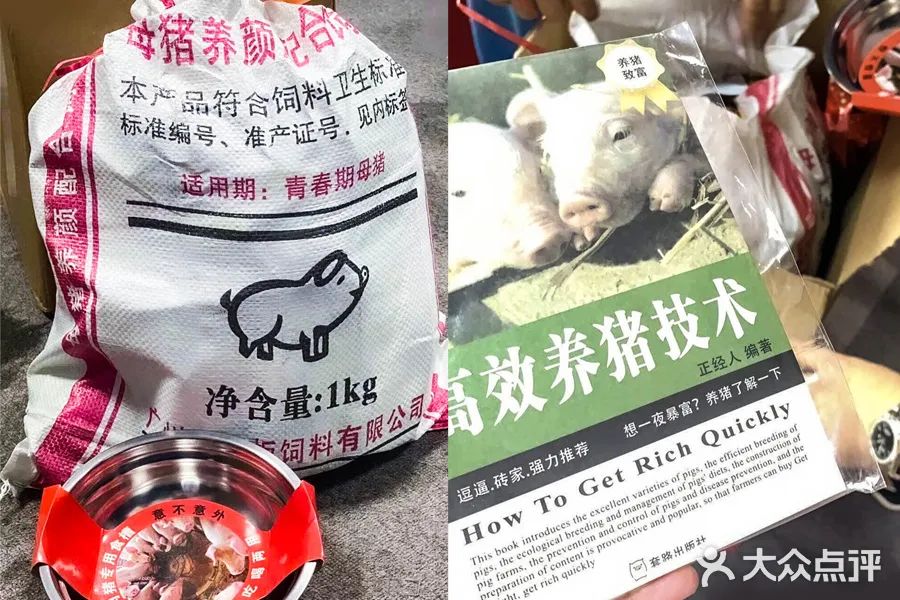 宁静牌猪饲料,宁静猪饲料视频