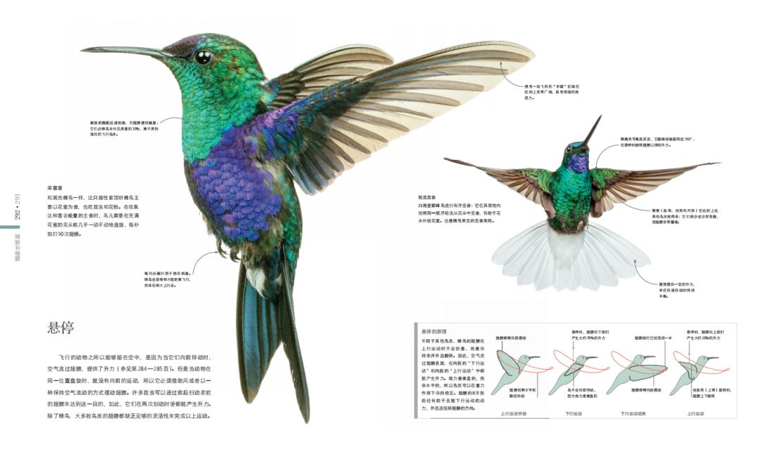 揭秘动物世界的“冷知识”,动物世界中的奇妙之处