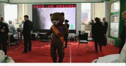 永城面博会策划,永城面博会照片