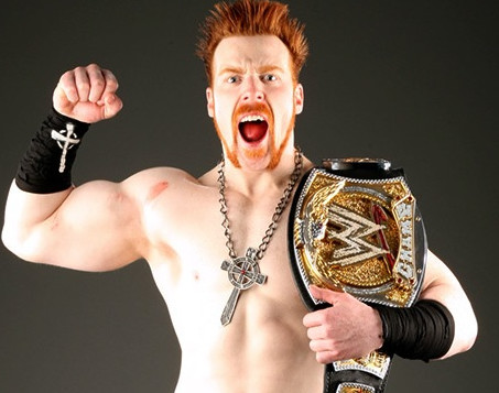 wwe公布了史上最佳的十大团体,wwe投票