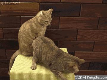 患者脚扭伤却检查心电图,脚踝扭伤医院要求拍心电图