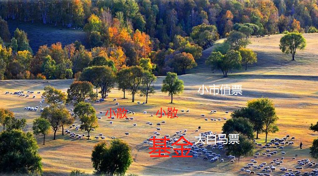 模仿什么行业赚钱,模仿公司的创业项目