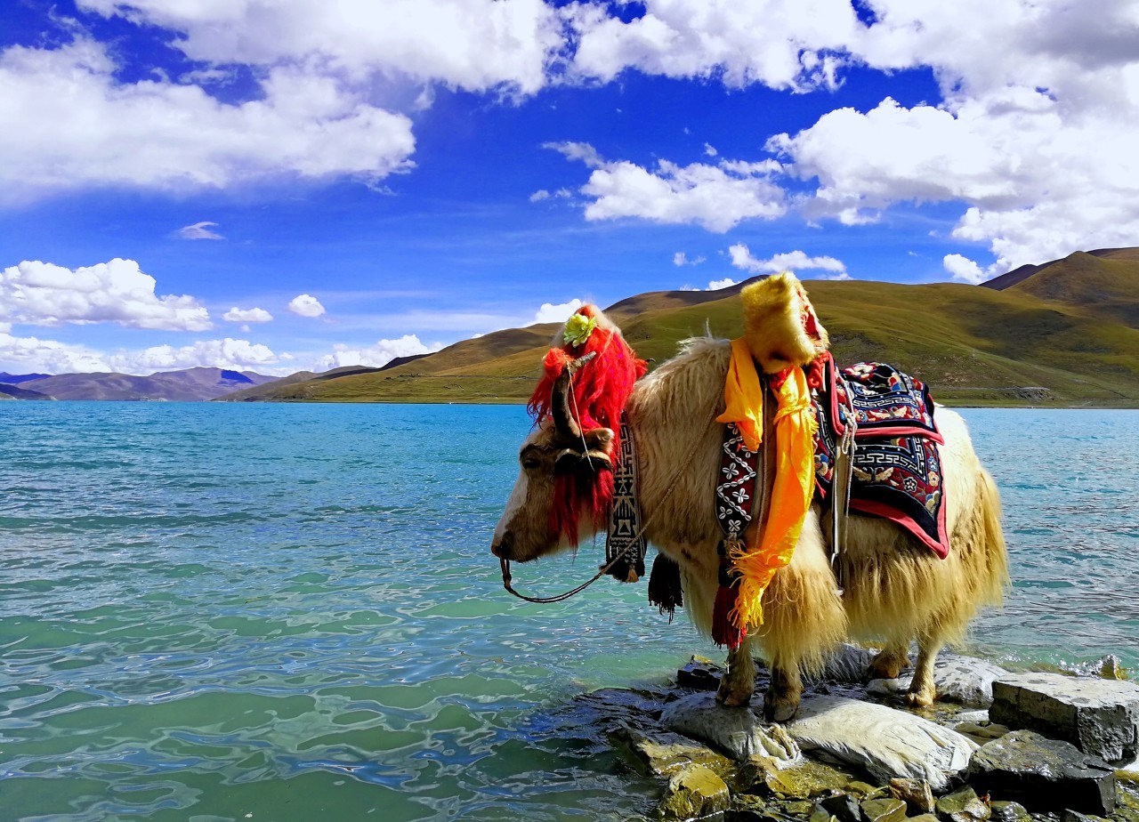 欧美箱包小众品牌,意大利轻奢箱包品牌