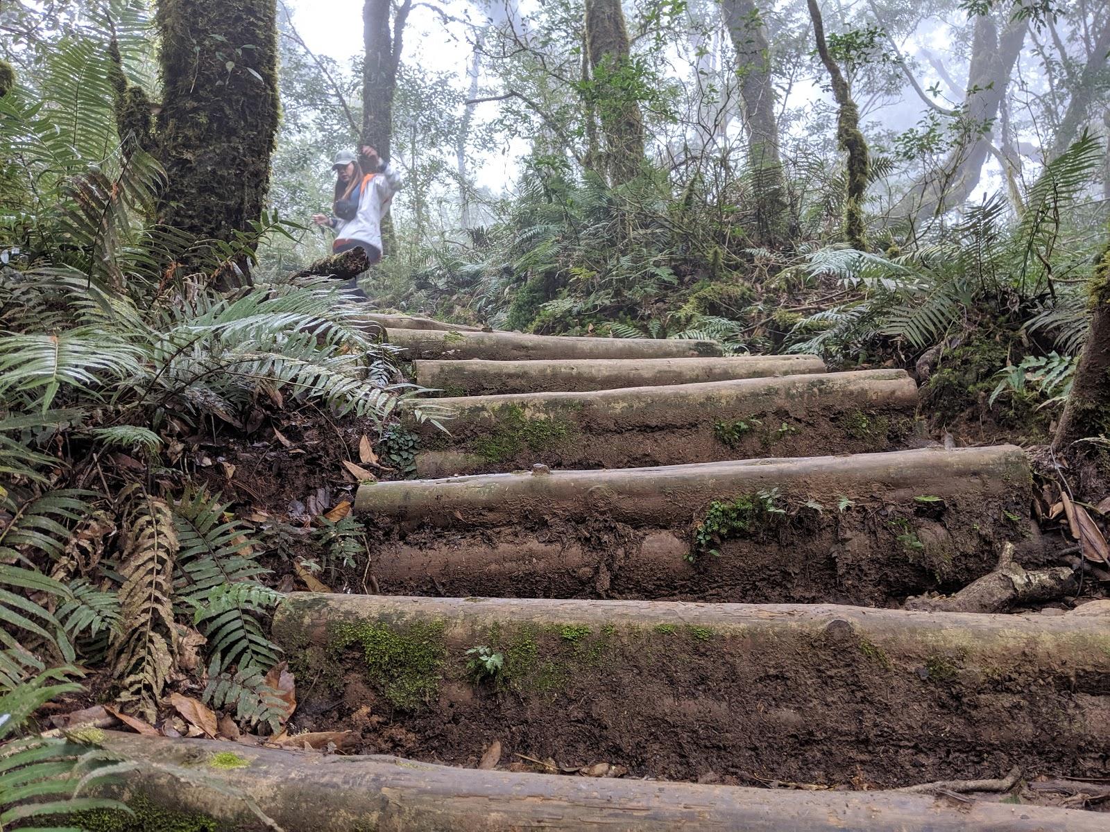 lasportiva越野跑鞋,lasportiva