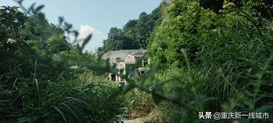 荒野求生之神秘洞穴,荒野求生神秘洞穴