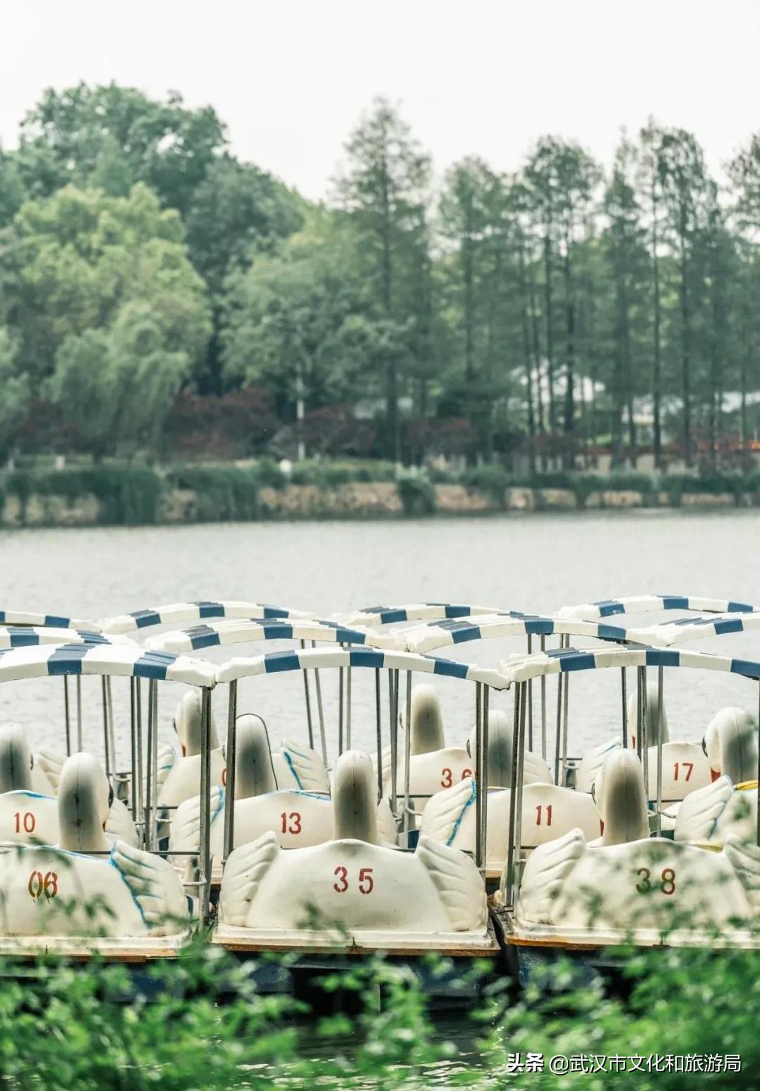 武汉动物园改造升级工程,武汉动物园升级最新消息