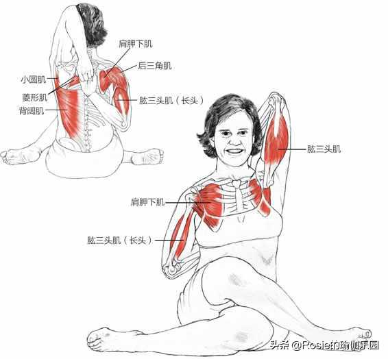 女人脖子后面的富贵包是什么原因,脖子后面有富贵包怎么让它消除