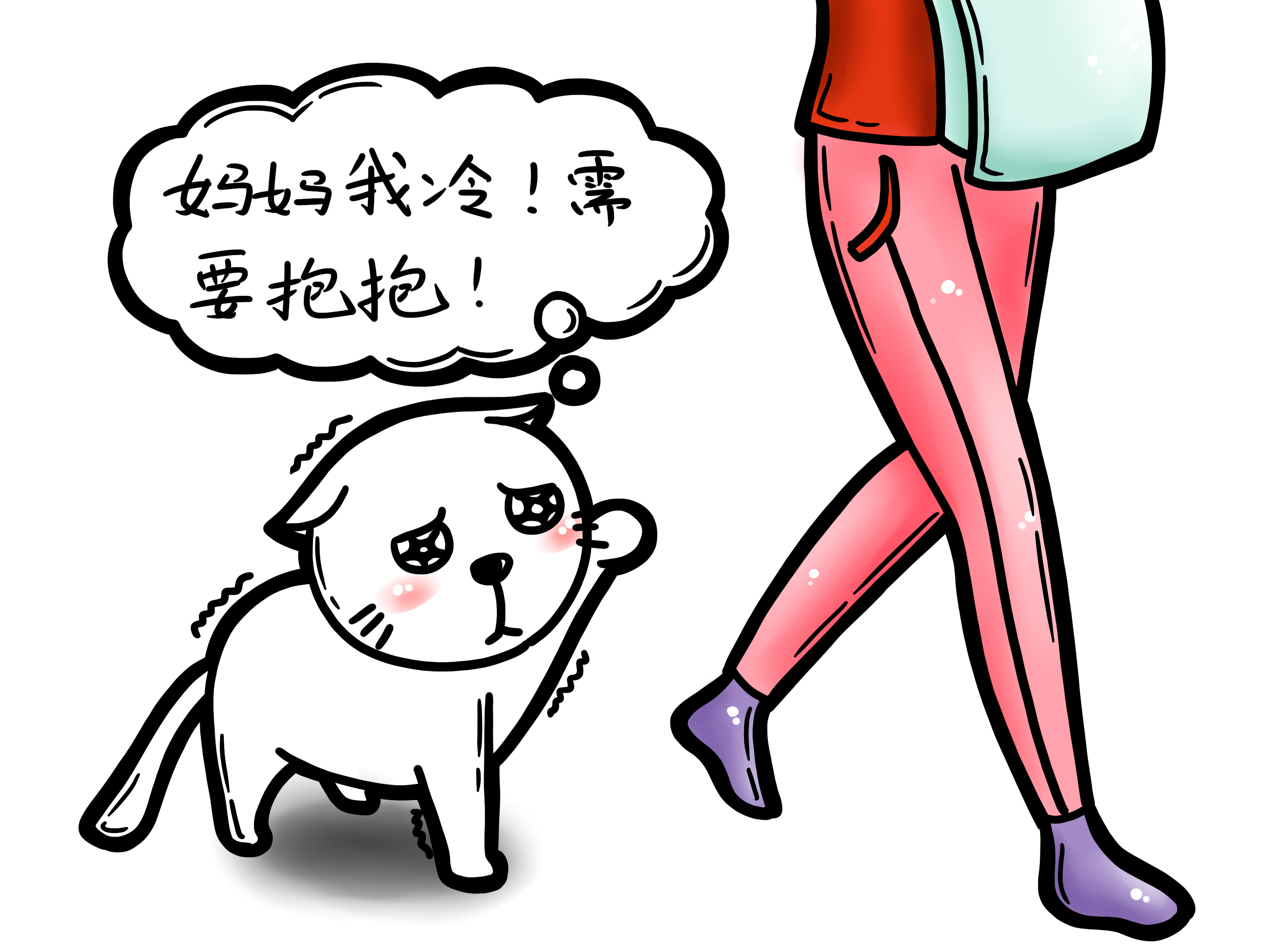 猫咪冬天冷用什么取暖,猫咪感冒了怎么给猫咪保暖