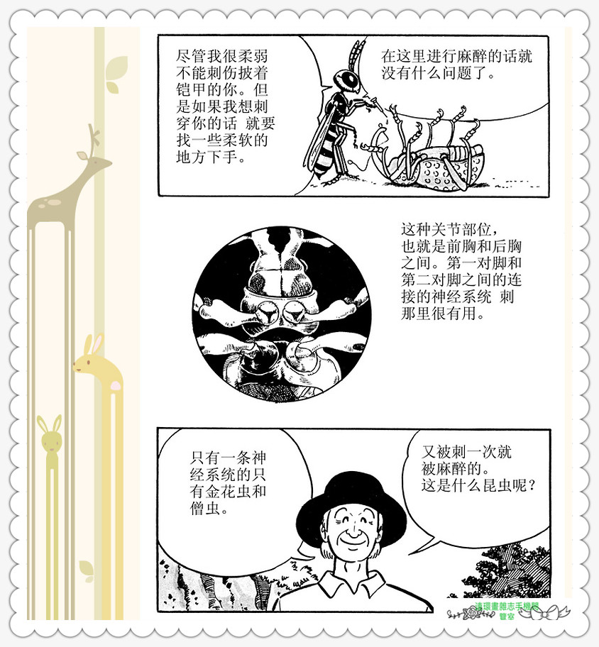 昆虫记法布尔动画片,昆虫记法布尔全套
