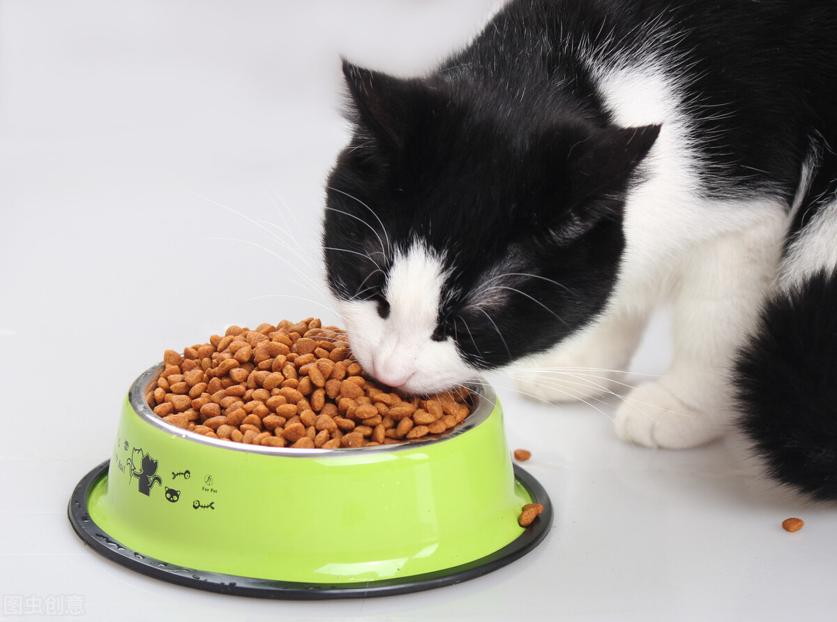 伟嘉猫粮为什么是毒猫粮,伟嘉猫粮品种怎么样