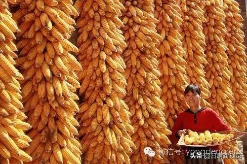 甘肃兰州最大的区,兰州最大的区是哪个区