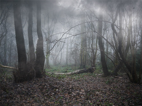 哥特小说的主题思想,哥特小说的现实意义