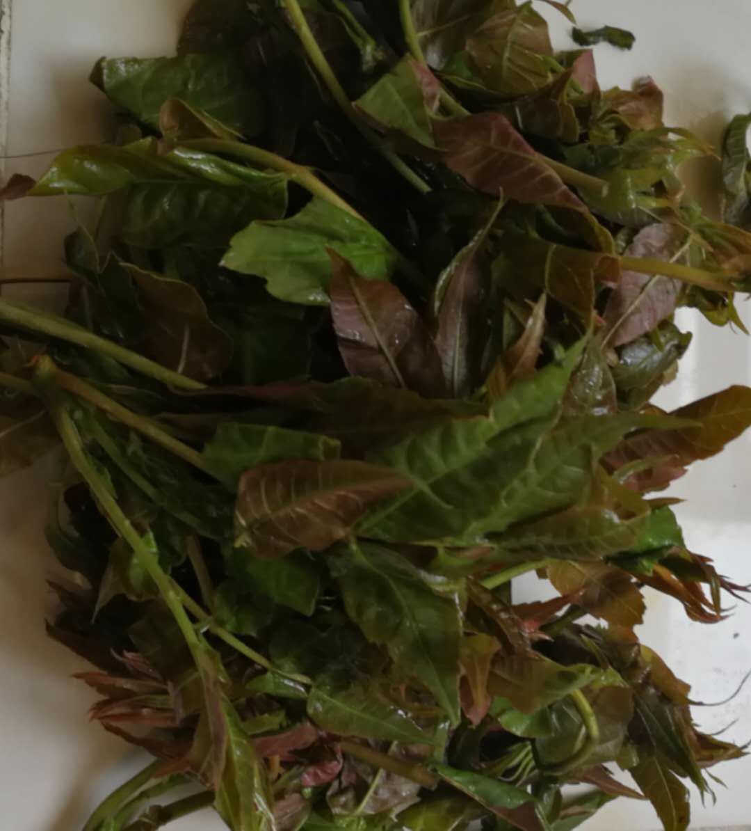 海鲜打卡地点推荐,五一海鲜打卡地