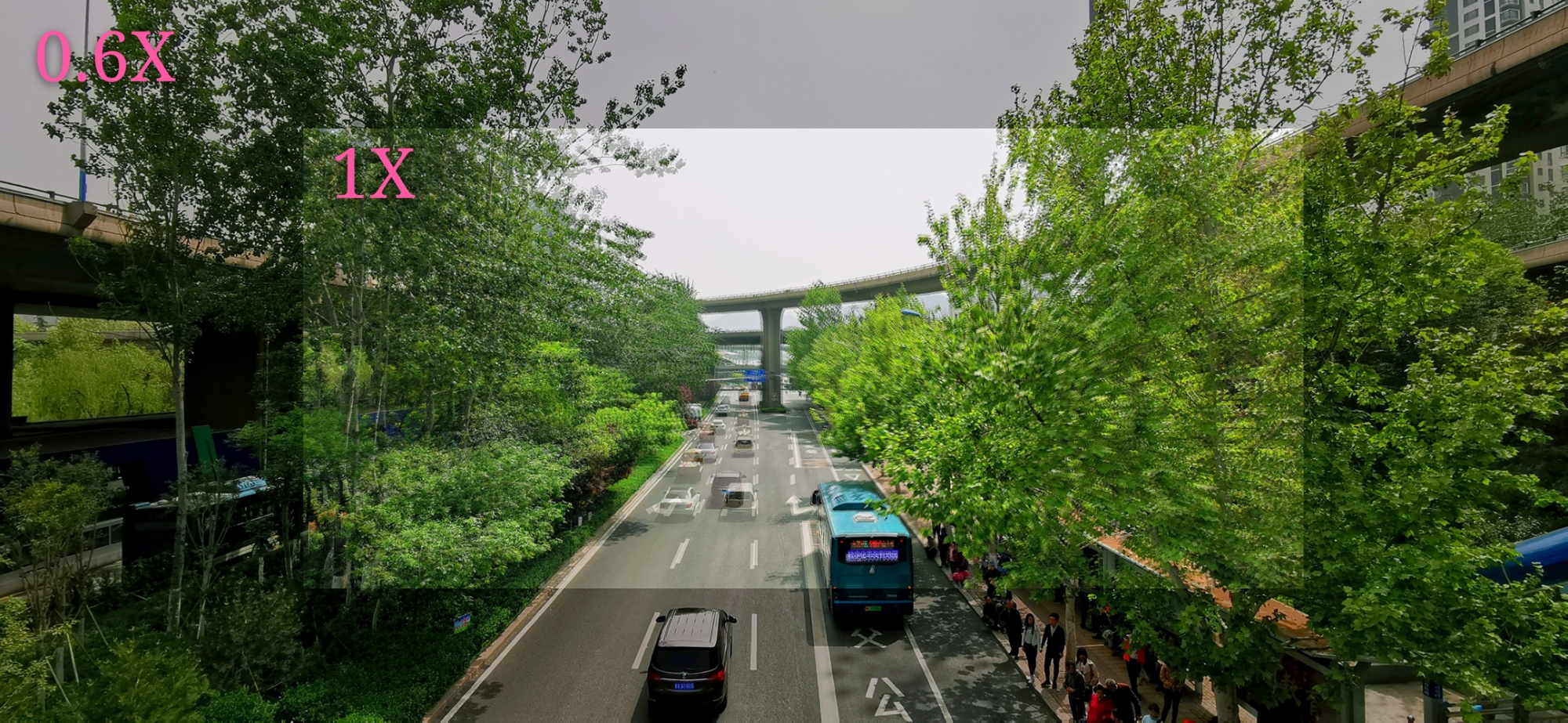 华为p30的相机超级微距,华为p30pro徕卡色调拍照实拍