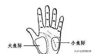 真正的正确拍打穴位,拍穴位调百病养生操