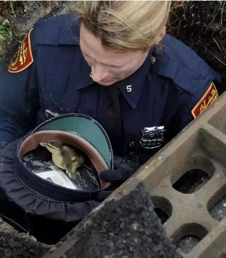 第一次当花童没有什么经验,第一次当花童没什么经验