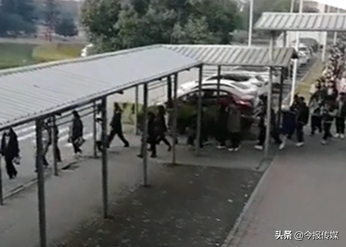 35天打卡拿返费,高额返费靠谱吗