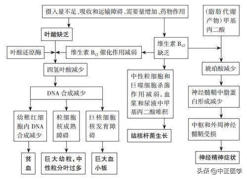 孕妇吃活性叶酸还是复合型叶酸,叶酸代谢障碍的孕妇怎么吃叶酸