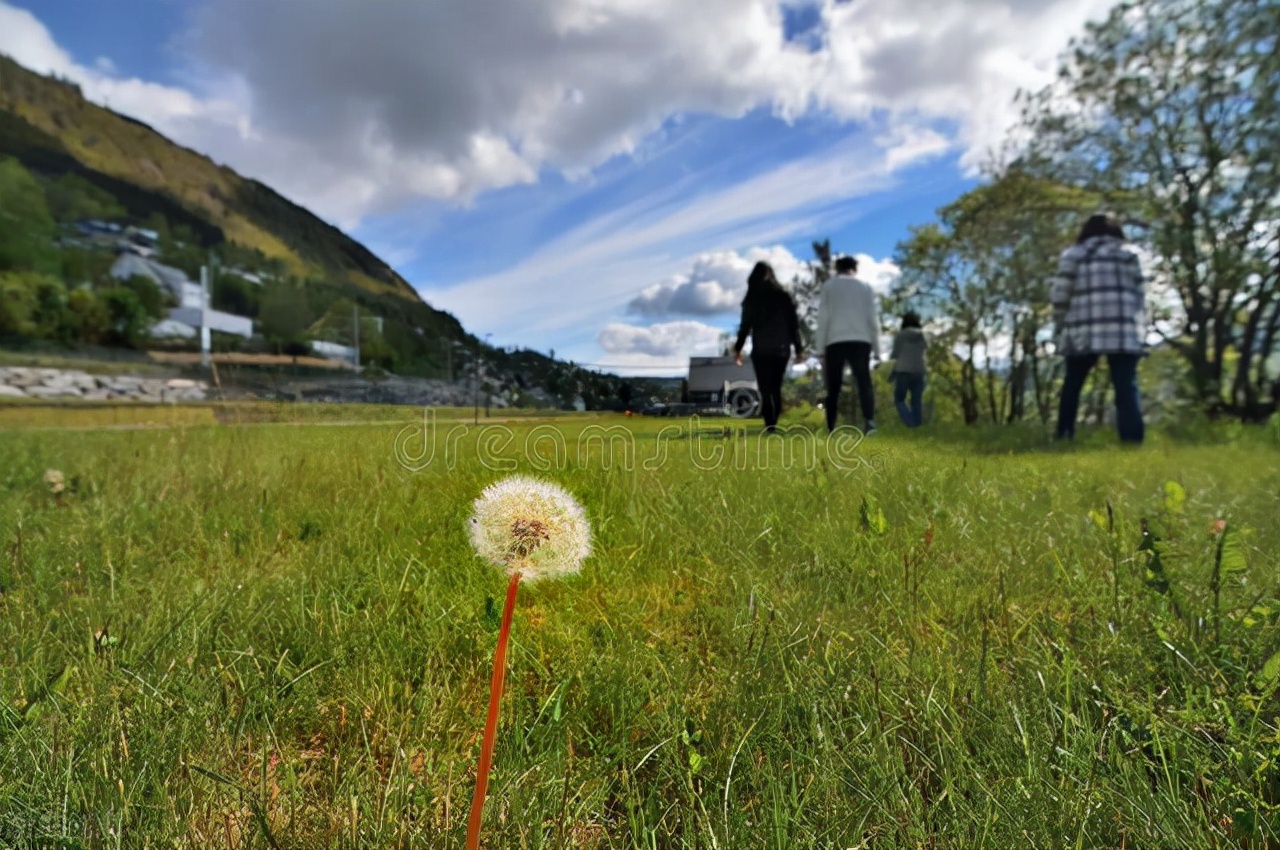 语码转换用英语怎么表达,语码转换在英语教学中的意义