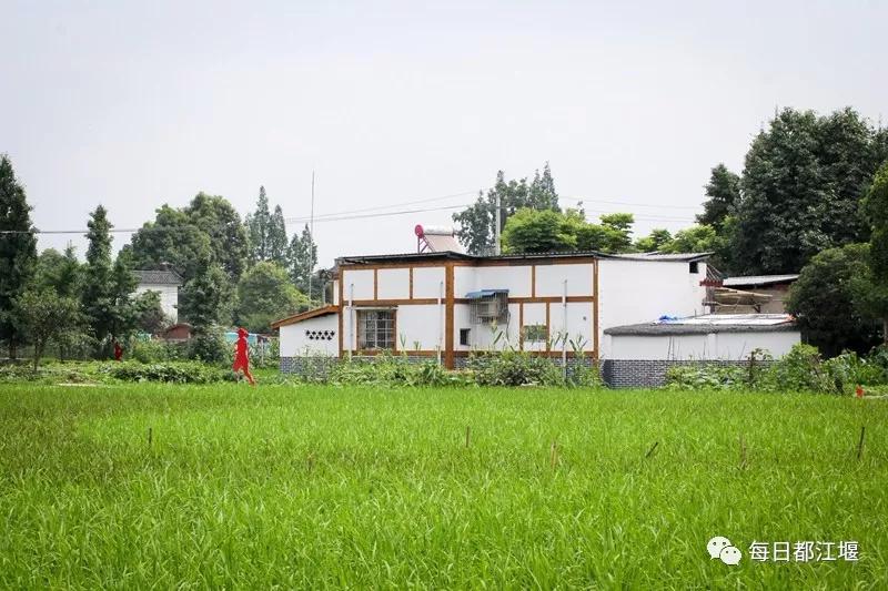 2020社会公众满意度测评,四川公众满意度调查报告