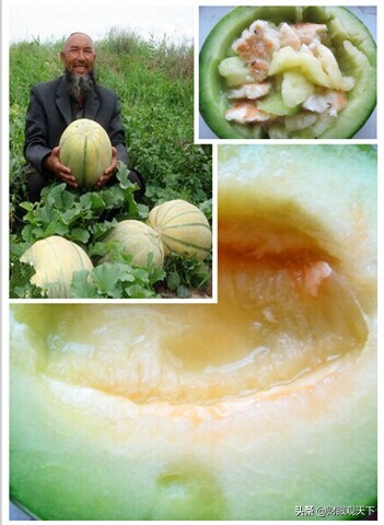 不能错过的*疆新**水果（一）