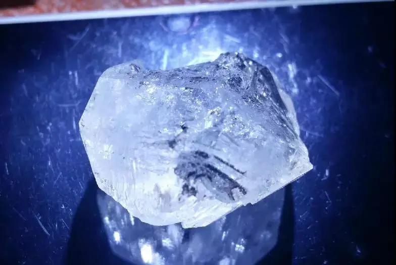 张雨绮最新消息 (张雨绮身价有多少)