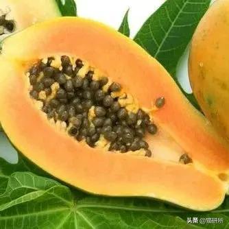 显微镜下的猫屎，竟然和这么多食物都撞脸？