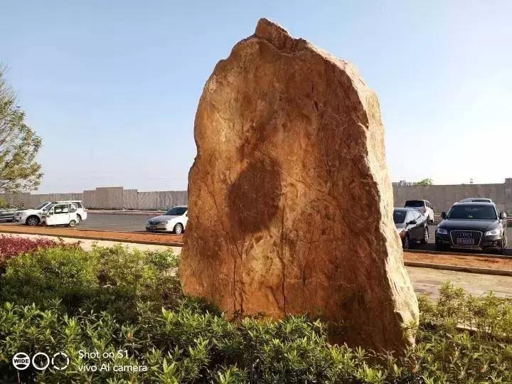 vivos1王者评测,vivos1全面测评