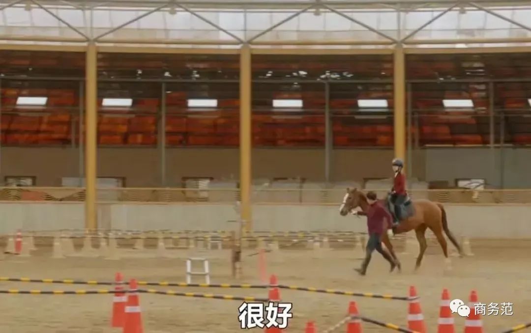 闊╁墽涓婃祦绀句細鐖嗙瑧,涓婃祦绀句細鐙楄澶嶄粐闊╁墽