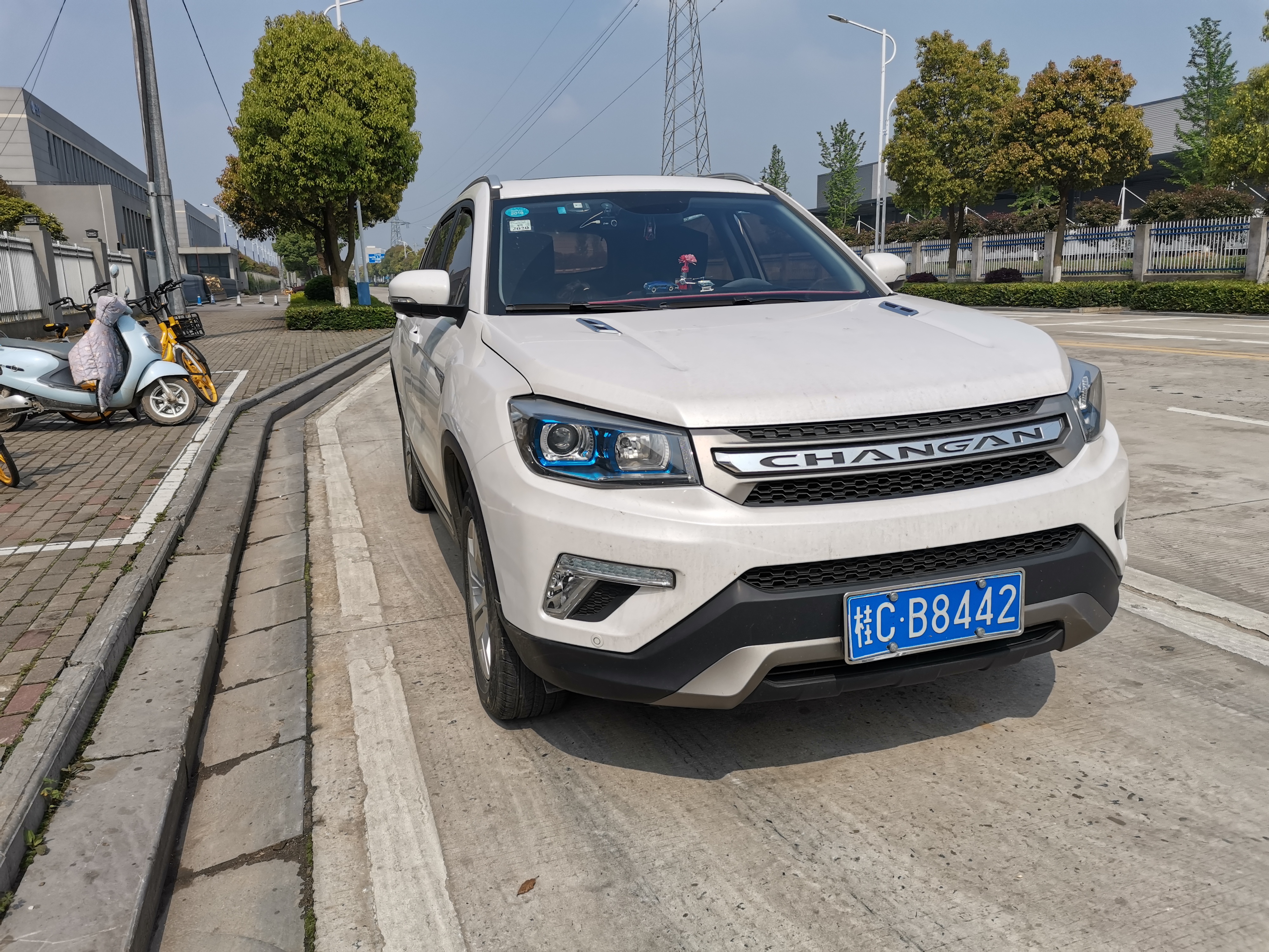 同心花海风景区,春光无限好旅游观光