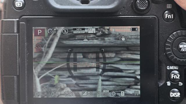 尼康f卡口可以用索尼镜头吗,尼康微单用f卡口镜头效果怎么样