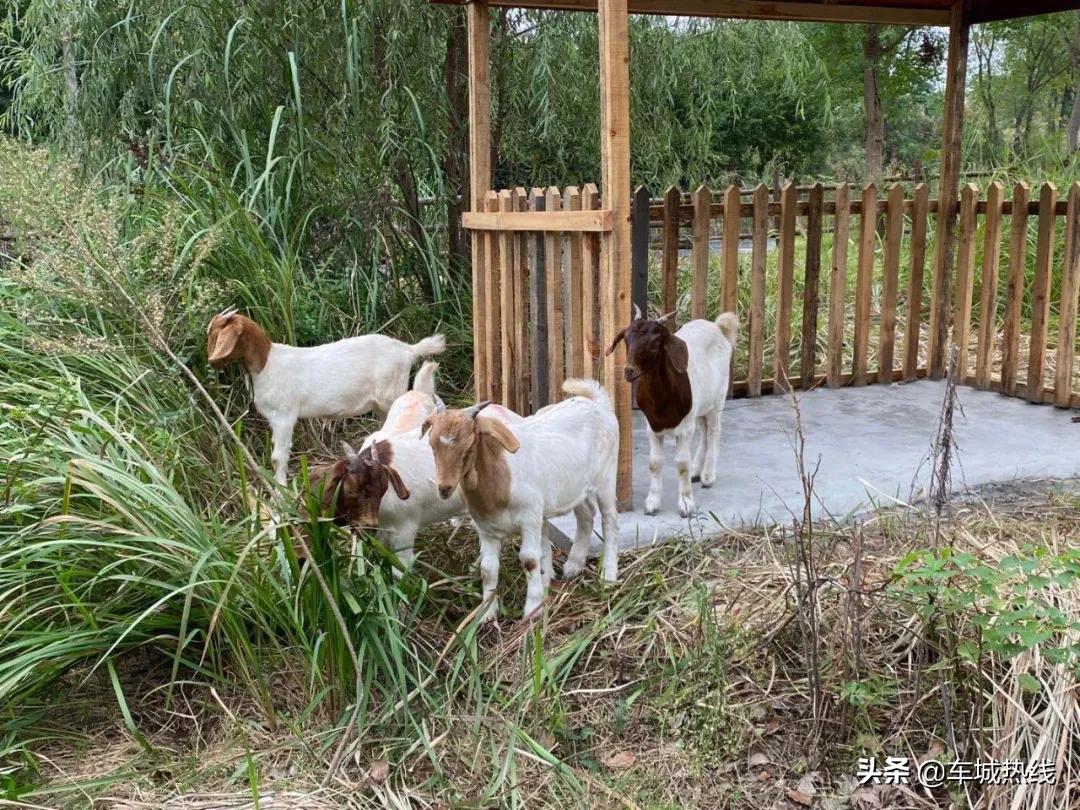 十堰市雨过天晴,十堰市晴好天气