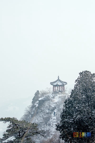 北京旅游网专访香山公园园长齐志坚、研究室主任王柯：“红绿”香山，四季皆景！