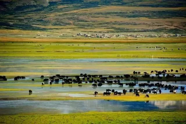 下半年旅行最佳时间表,2023最佳旅游时间表