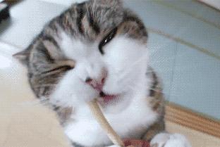 现在最流行的轻奢包包,最值得入手的轻奢包包