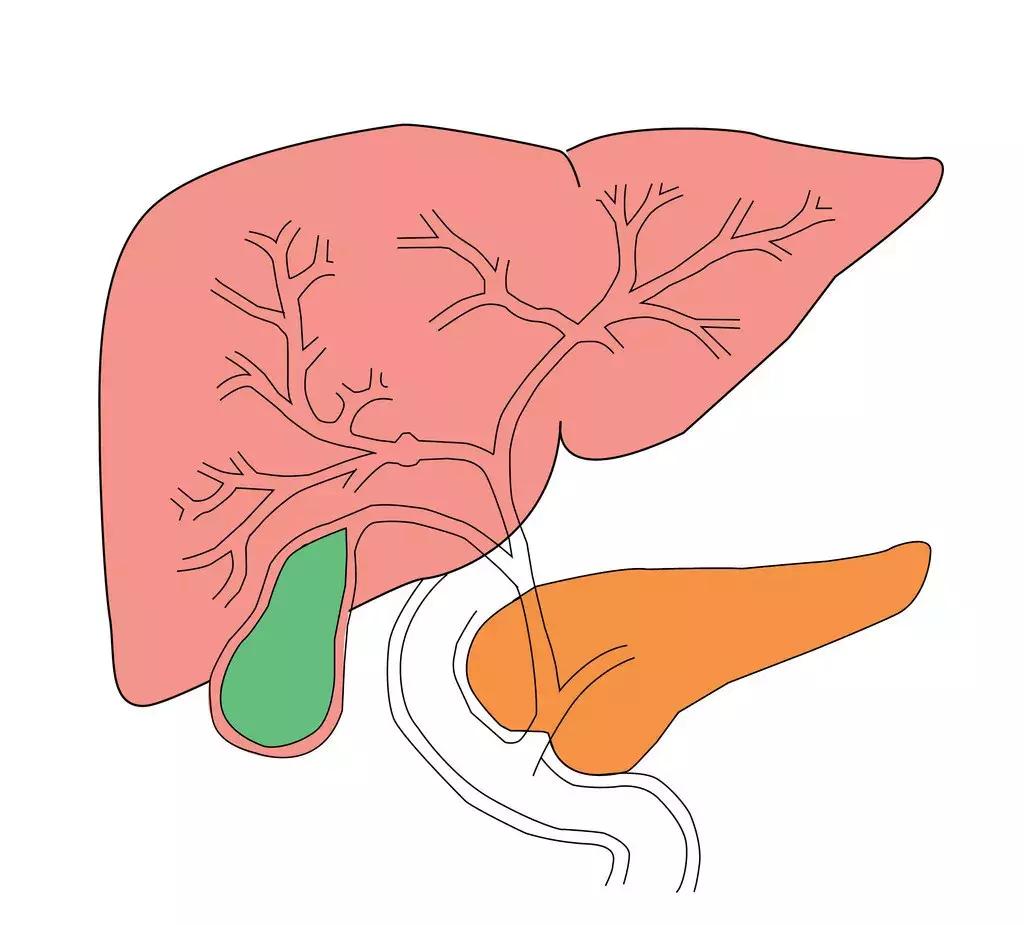 为什么要干扰素,干扰素最新进展