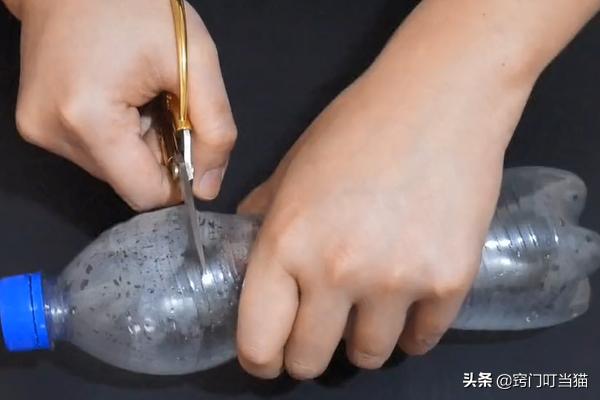 灭老鼠有妙招不用白酒,灭老鼠最快最有效方法