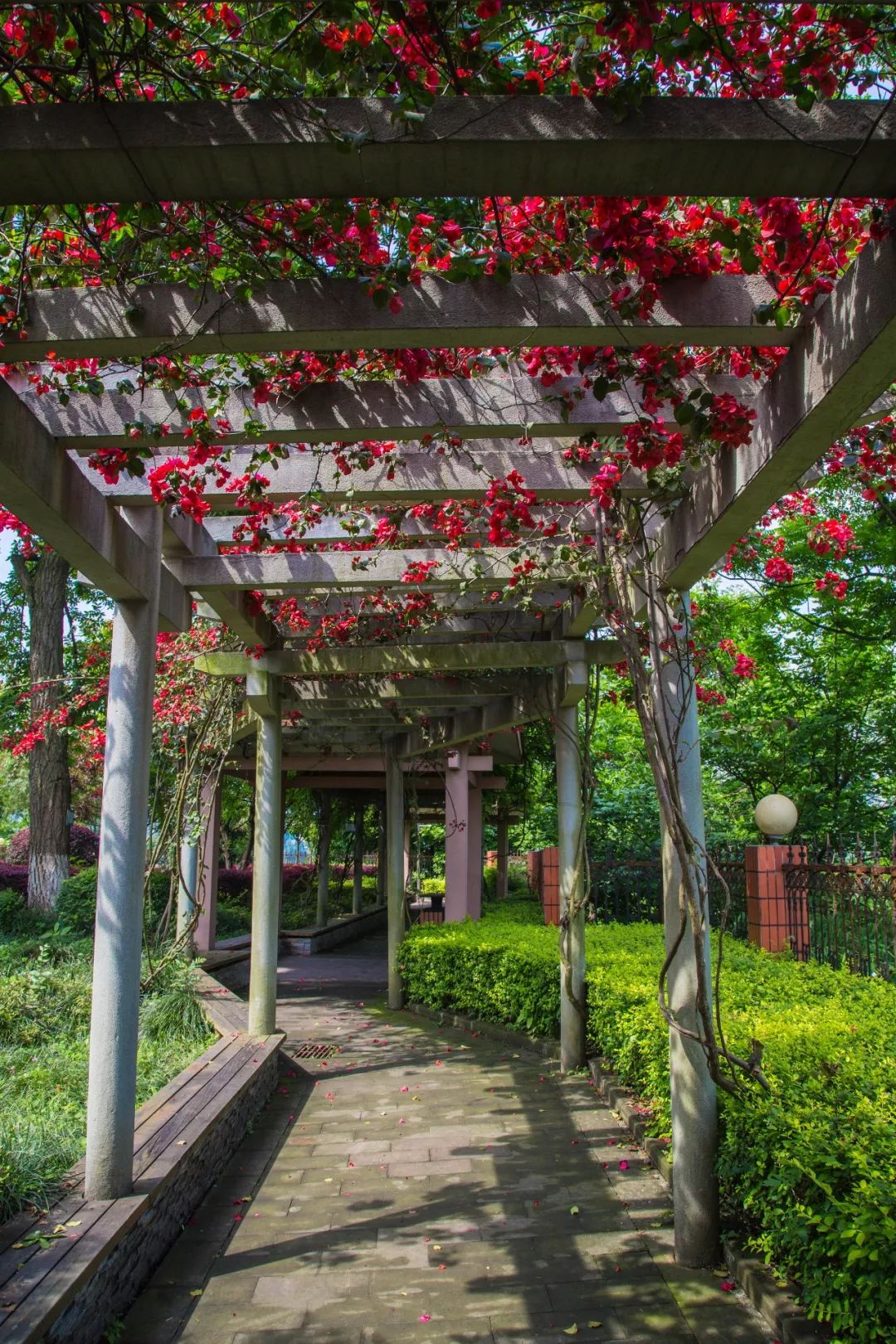 西大附中各校区详解,西大附中竹林校区师资