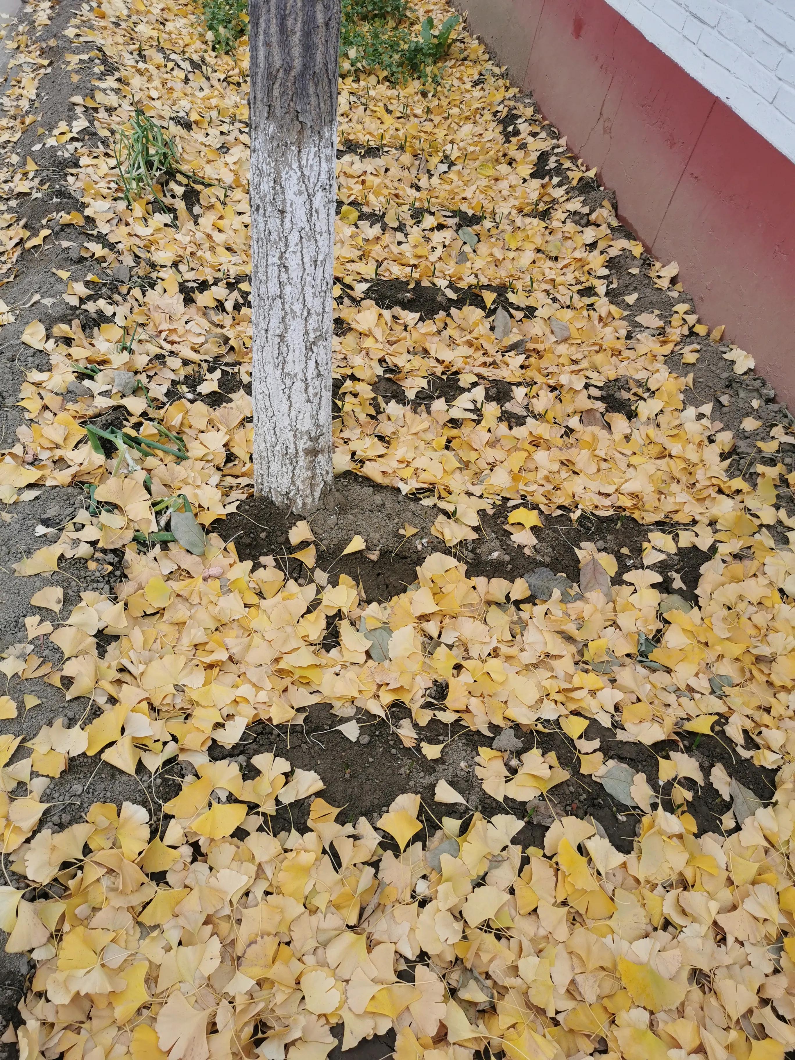 北京房山最美乡村项目,韩村河是中国十佳乡村吗