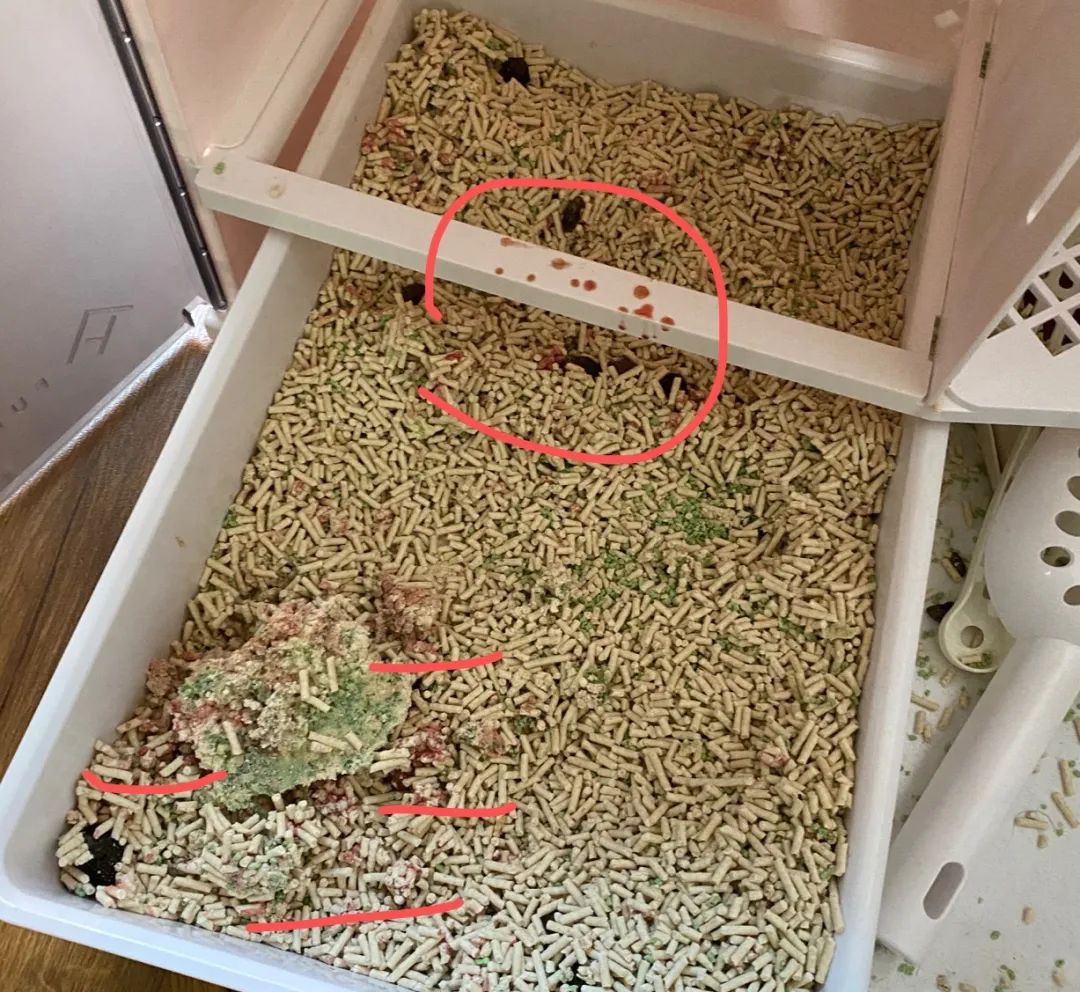 小佩饮水机3代漏电吗,小佩宠物饮水机真的有用吗