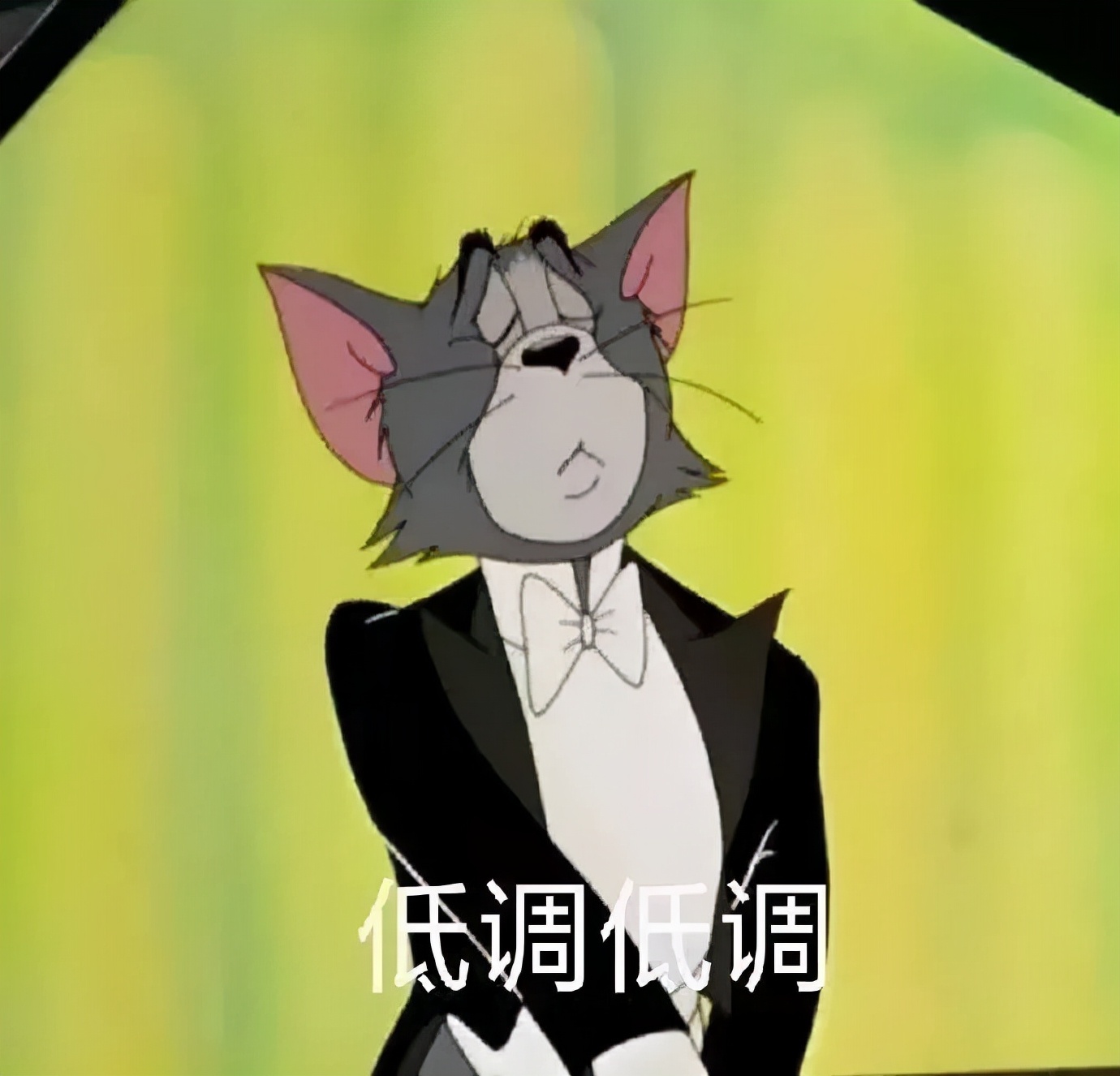 国货深度测评不讲情怀讲实力,片仔癀国货公认最好用的10大面霜