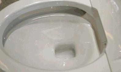 马桶的虹吸式和直冲式哪个好,马桶移位20cm用直冲式还是虹吸式