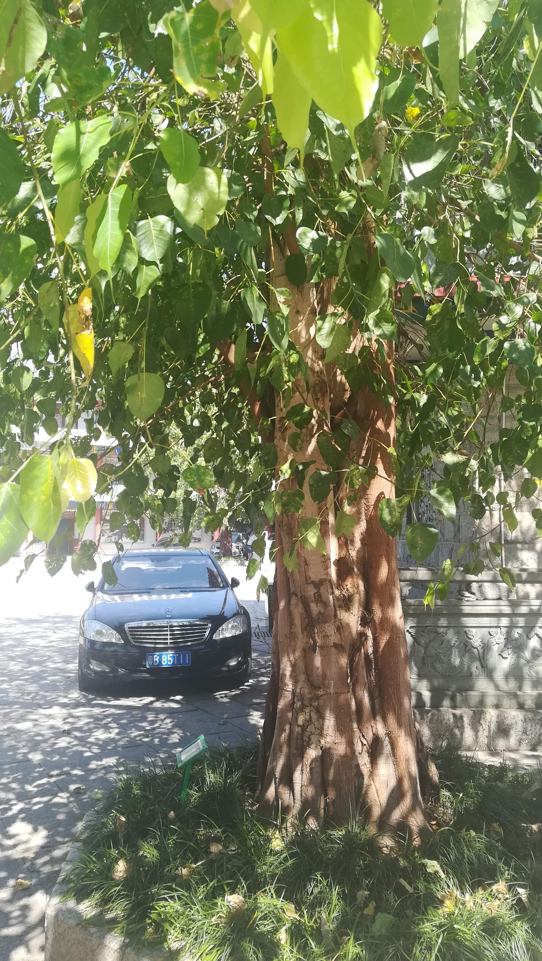 深圳赤湾天后宫是拜什么的,赤湾天后宫深圳