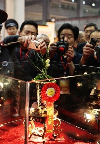 兰展要价800万的兰花,今年兰展最高价的有哪些兰花