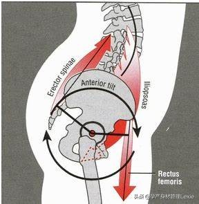 孕期为什么会出现腰痛、下背痛？真相在这里