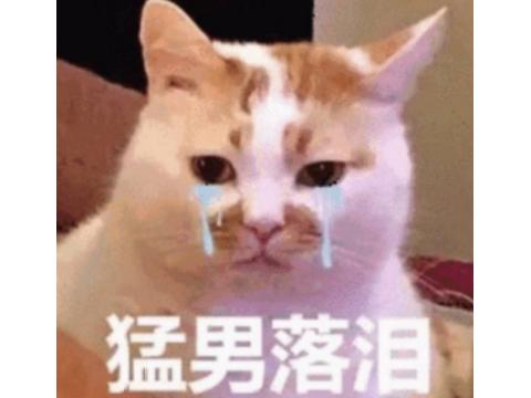 90后以前玩的火的游戏,十大长期耐玩的网页游戏