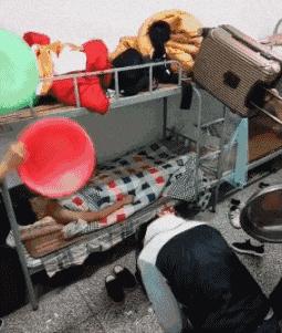 老虎：这是我准备养大吃的，你来凑什么热闹